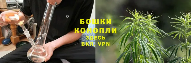 Канабис SATIVA & INDICA  Аксай 